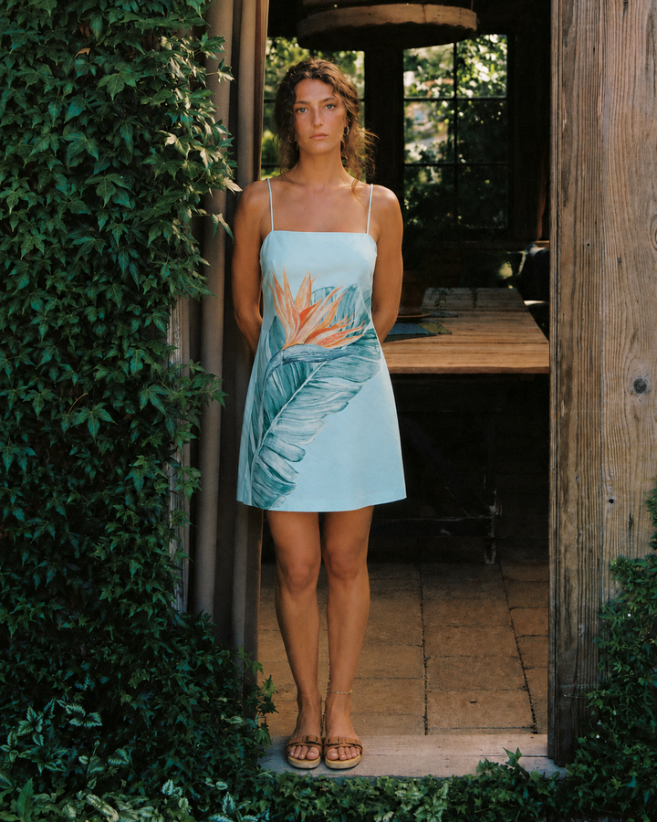 The Jasmina Dress